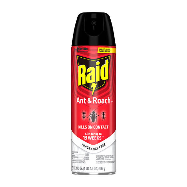 Raid Ant and Roach Killer Indoor Bug Spray - Fragrance Free - 17.5oz