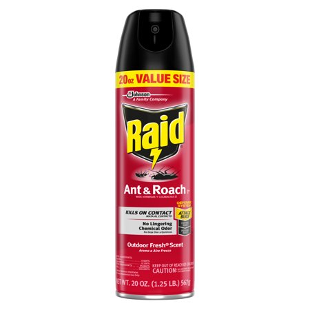 Raid Defend Ant & Roach Insect Killer Indoor Insecticide Residual Killing Power Outdoor Fresh Scent 20 Oz